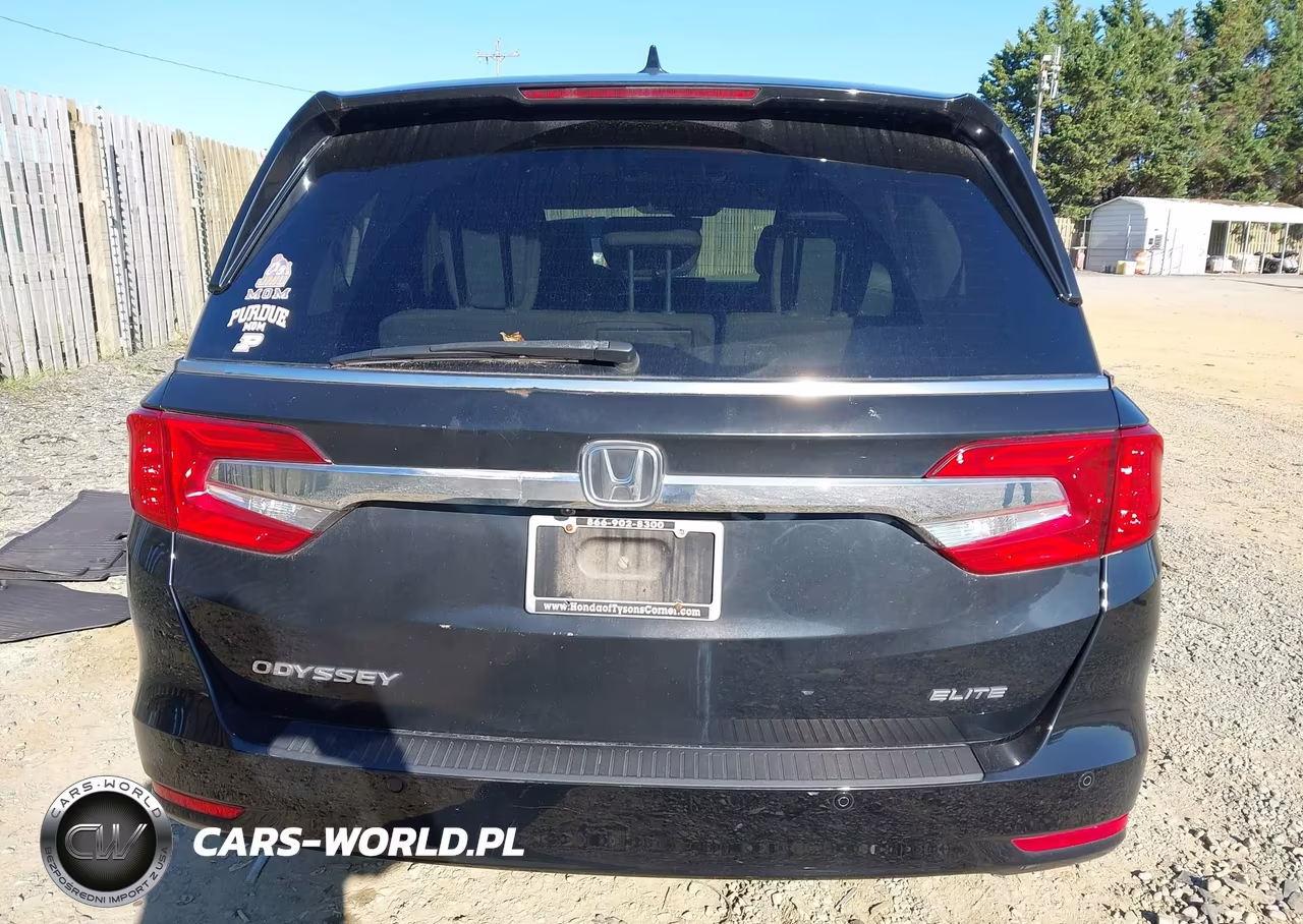 2019 Honda Odyssey Elite VIN:5FNRL6H93KB002978 - 16