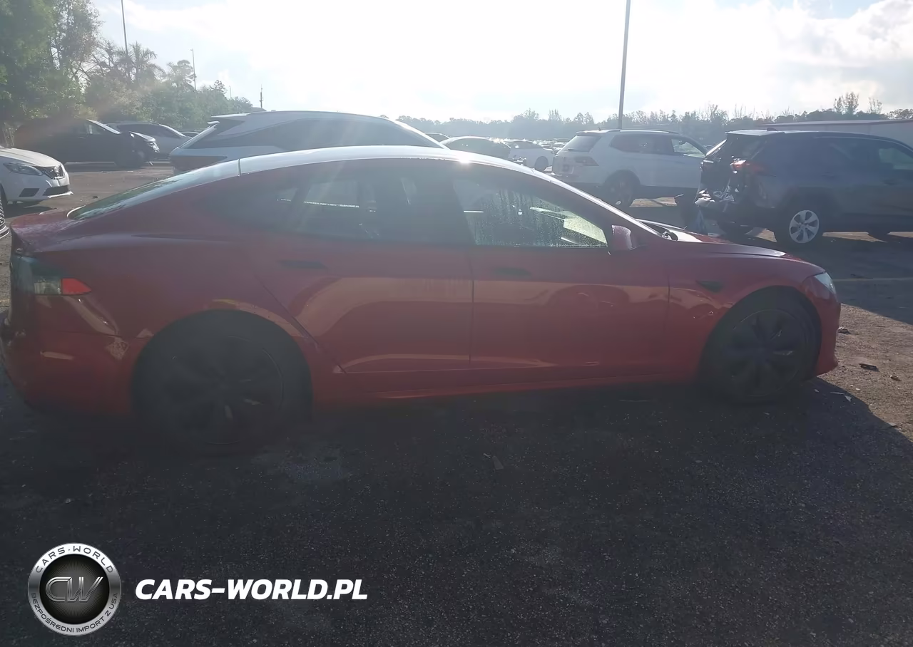 2021 Tesla Model S Long Range Dual Motor All-Wheel Drive VIN:5YJSA1E59MF428219 - 13