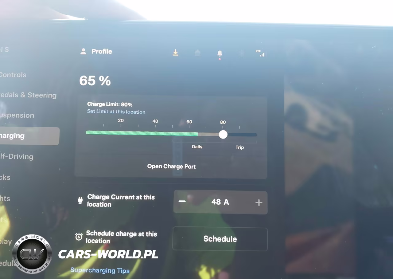 2021 Tesla Model S Long Range Dual Motor All-Wheel Drive VIN:5YJSA1E59MF428219 - 17