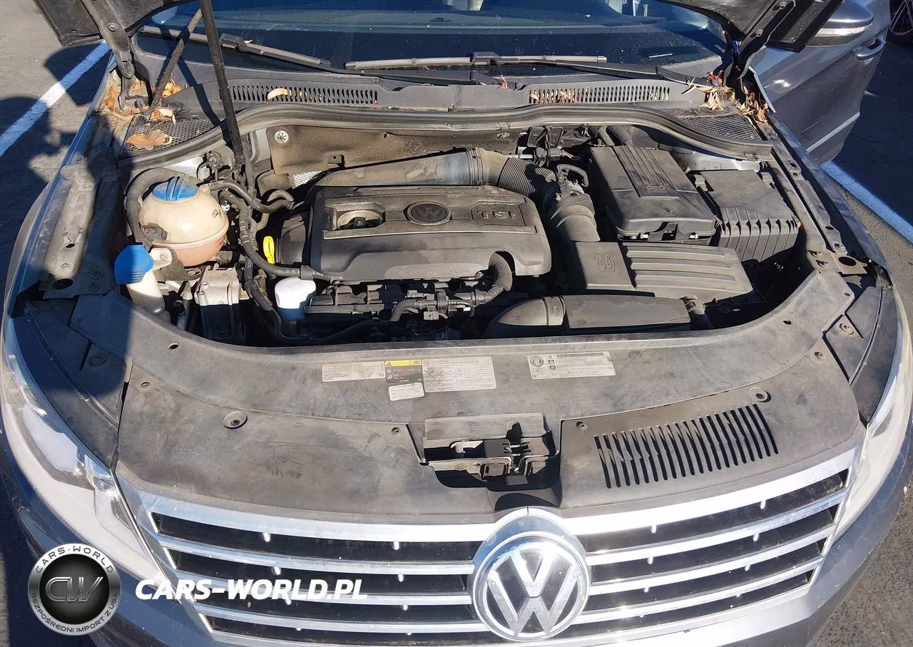 2015 Volkswagen Cc 2.0T Sport VIN:WVWBP7ANXFE813347 - 10