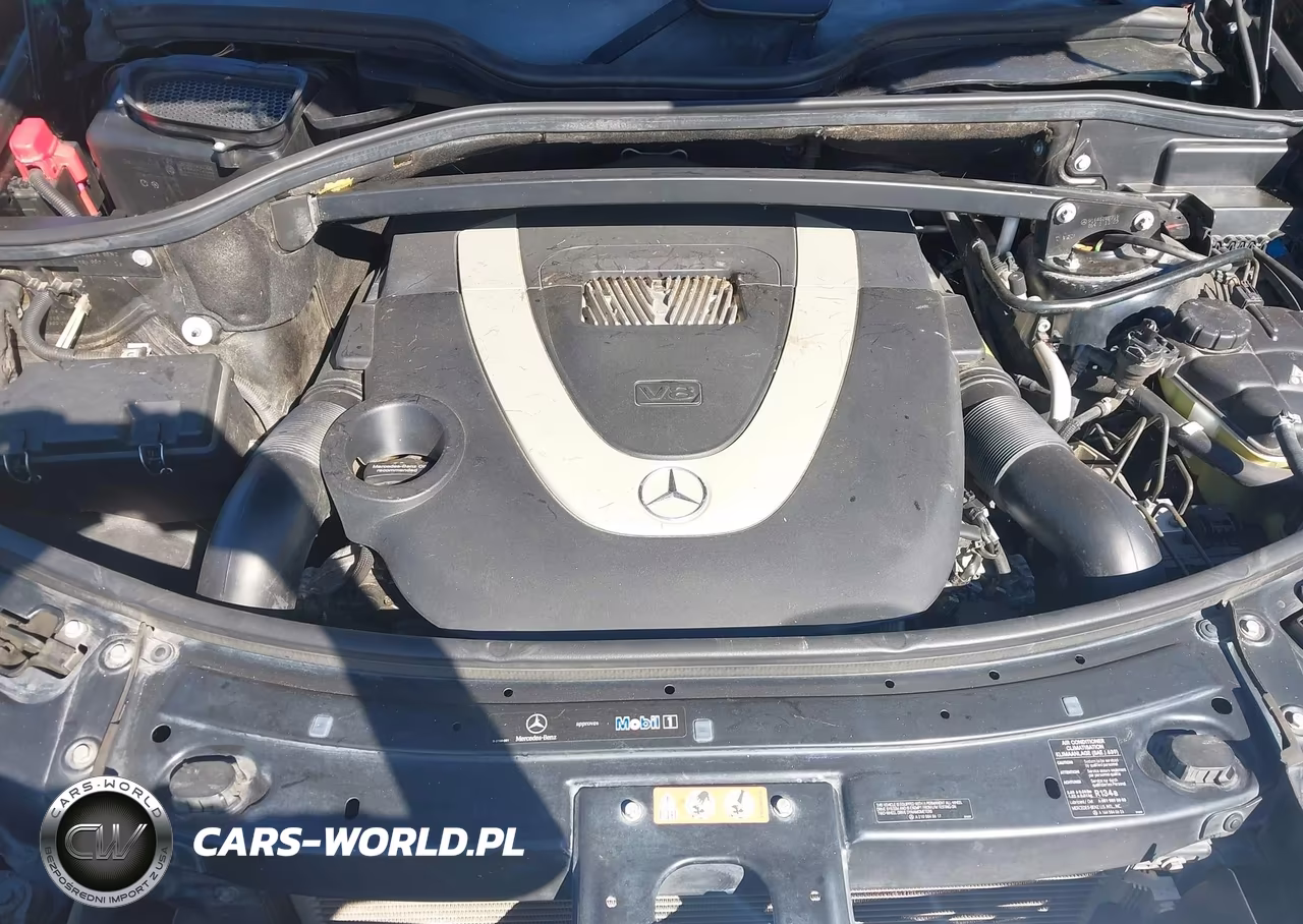 2009 Mercedes-Benz Gl 450 4Matic VIN:4JGBF71E29A514400 - 10