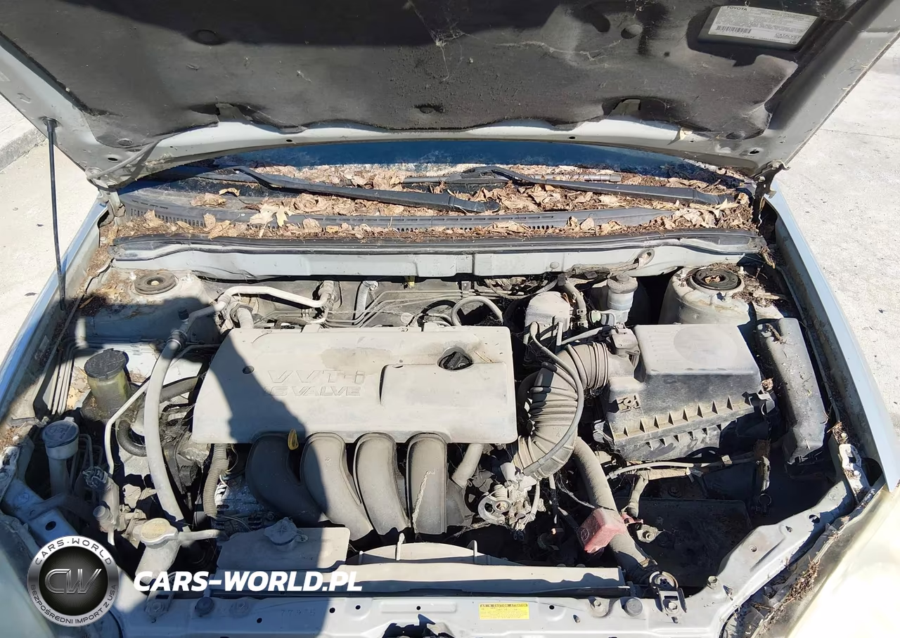 2003 Toyota Corolla Le VIN:1NXBR38E63Z104212 - 10