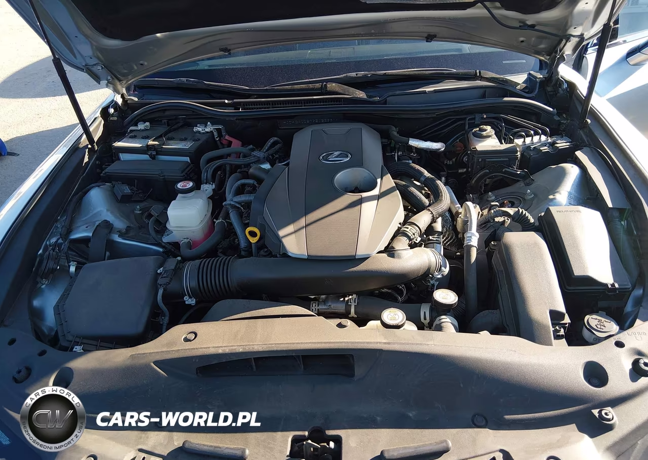 2023 Lexus Is 300 VIN:JTHCA1D27P5123981 - 10