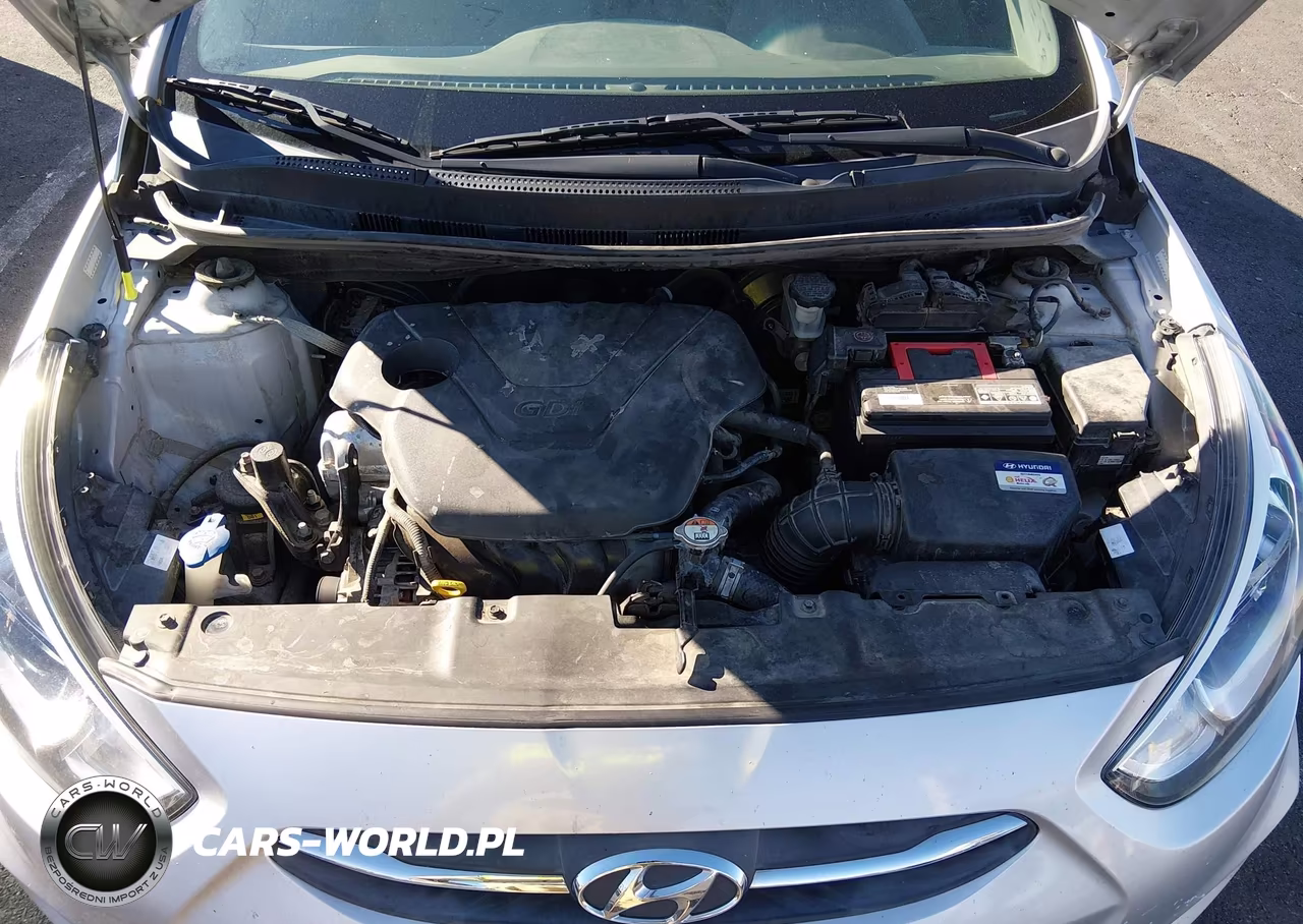 2017 Hyundai Accent Se VIN:KMHCT4AE3HU343326 - 10