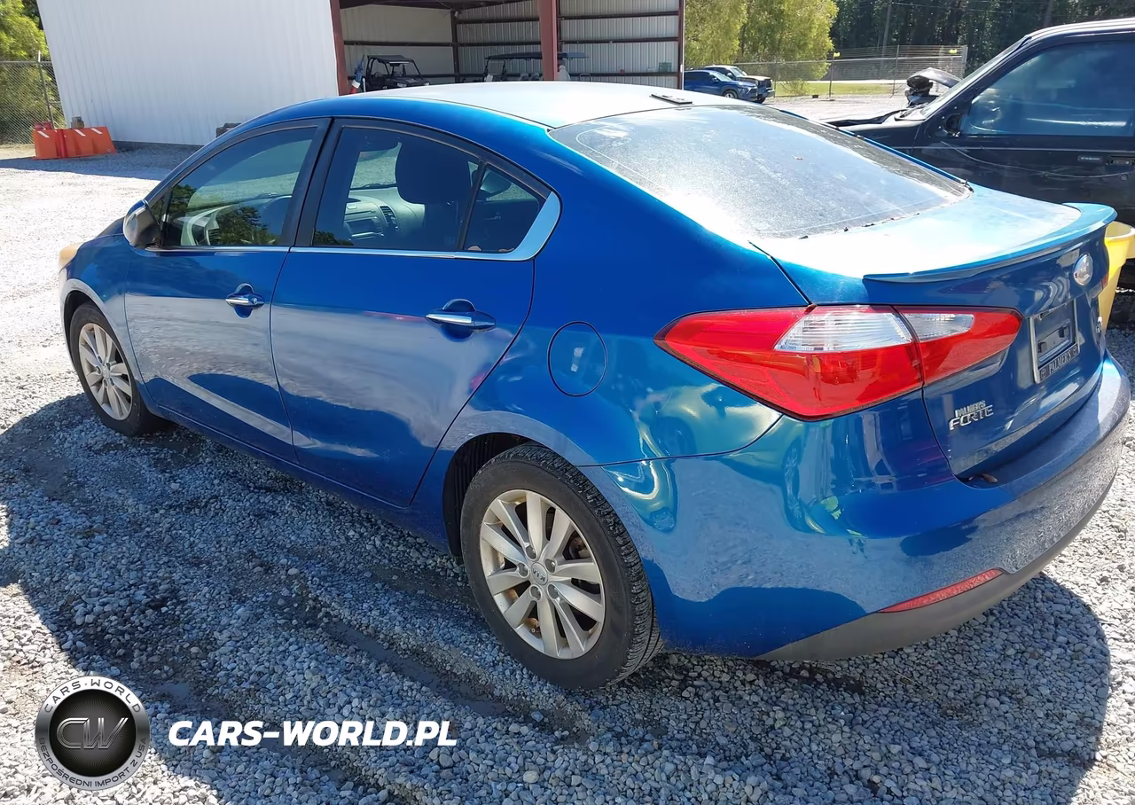 2014 Kia Forte Ex VIN:KNAFX4A89E5160127 - 3