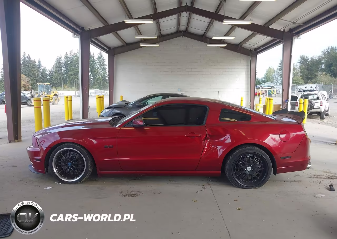 2014 Ford Mustang Gt Premium VIN:1ZVBP8CF3E5270401 - 14