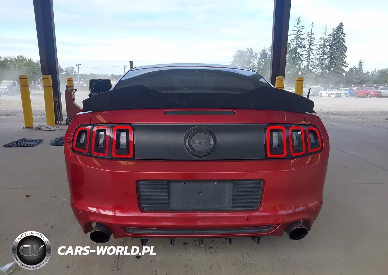 2014 Ford Mustang Gt Premium VIN:1ZVBP8CF3E5270401 - 16