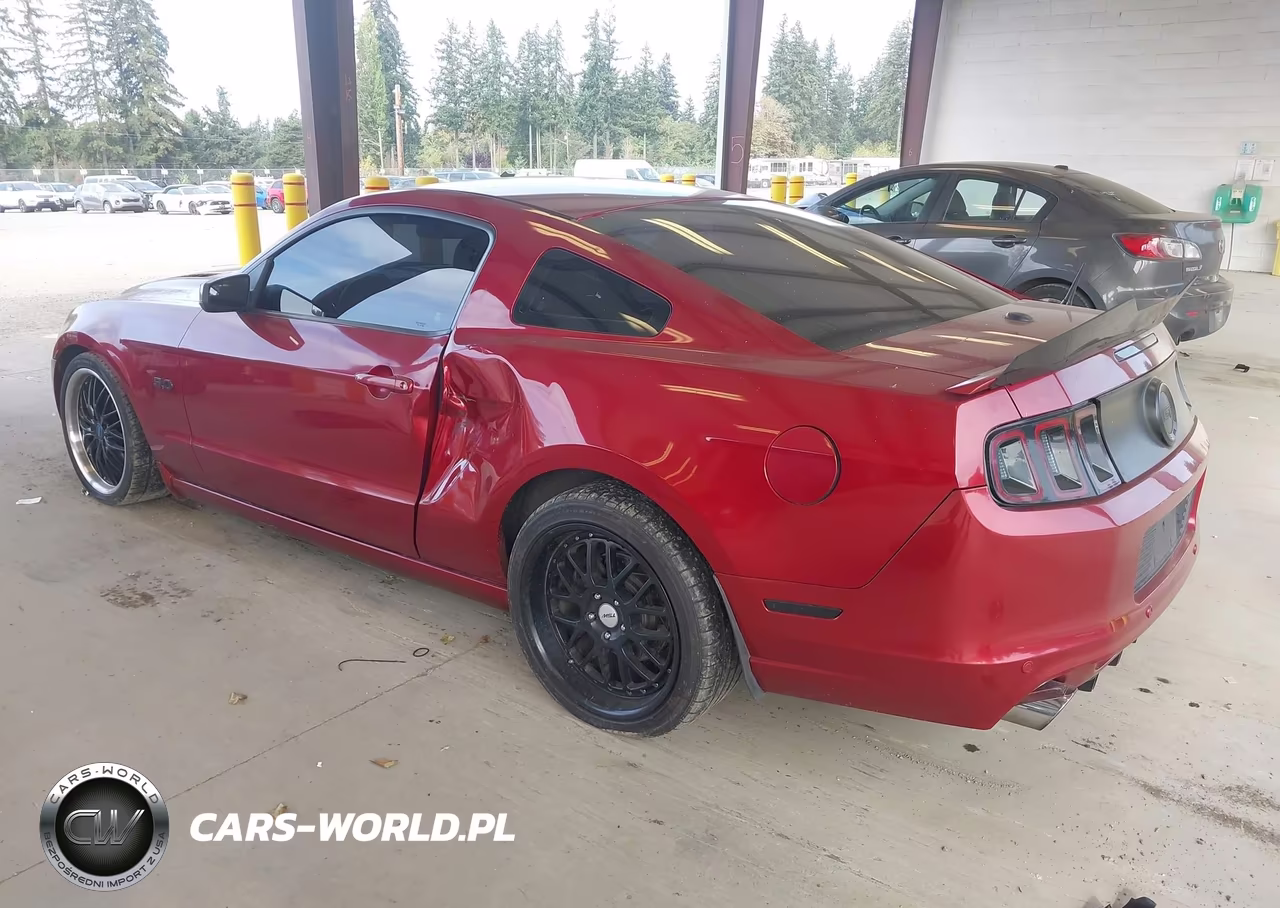 2014 Ford Mustang Gt Premium VIN:1ZVBP8CF3E5270401 - 3