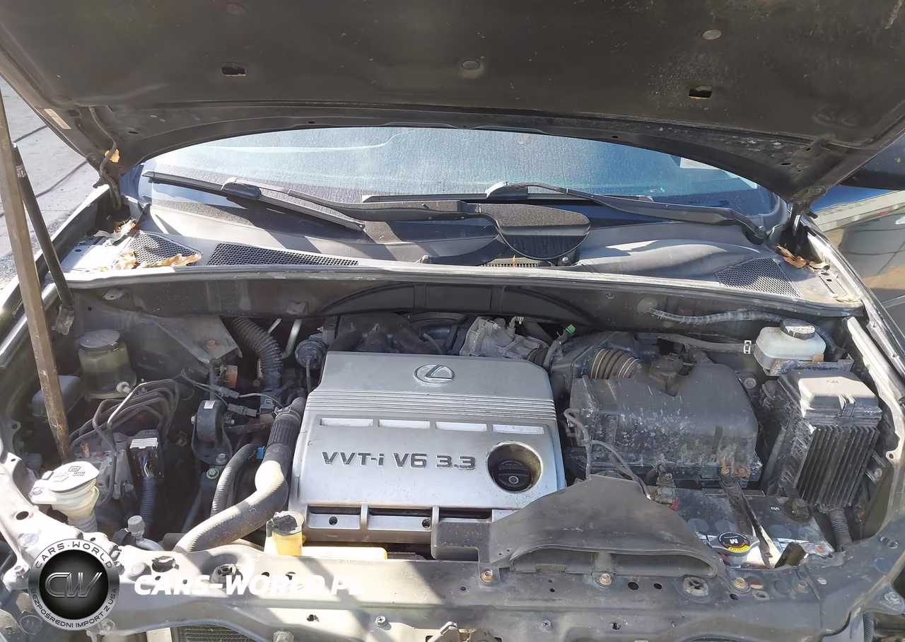 2004 Lexus Rx 330 VIN:JTJHA31U540064542 - 10