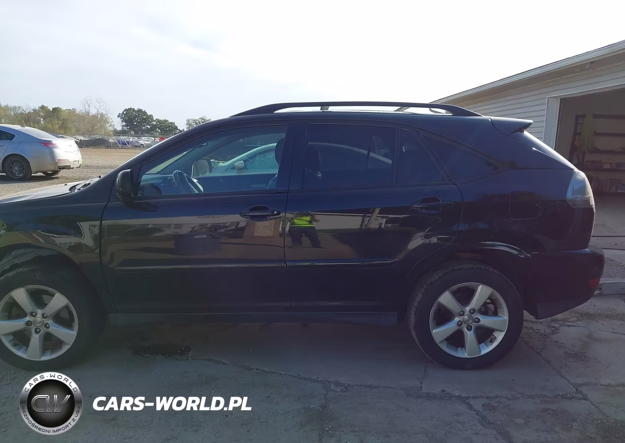 2004 Lexus Rx 330 VIN:JTJHA31U540064542 - 15