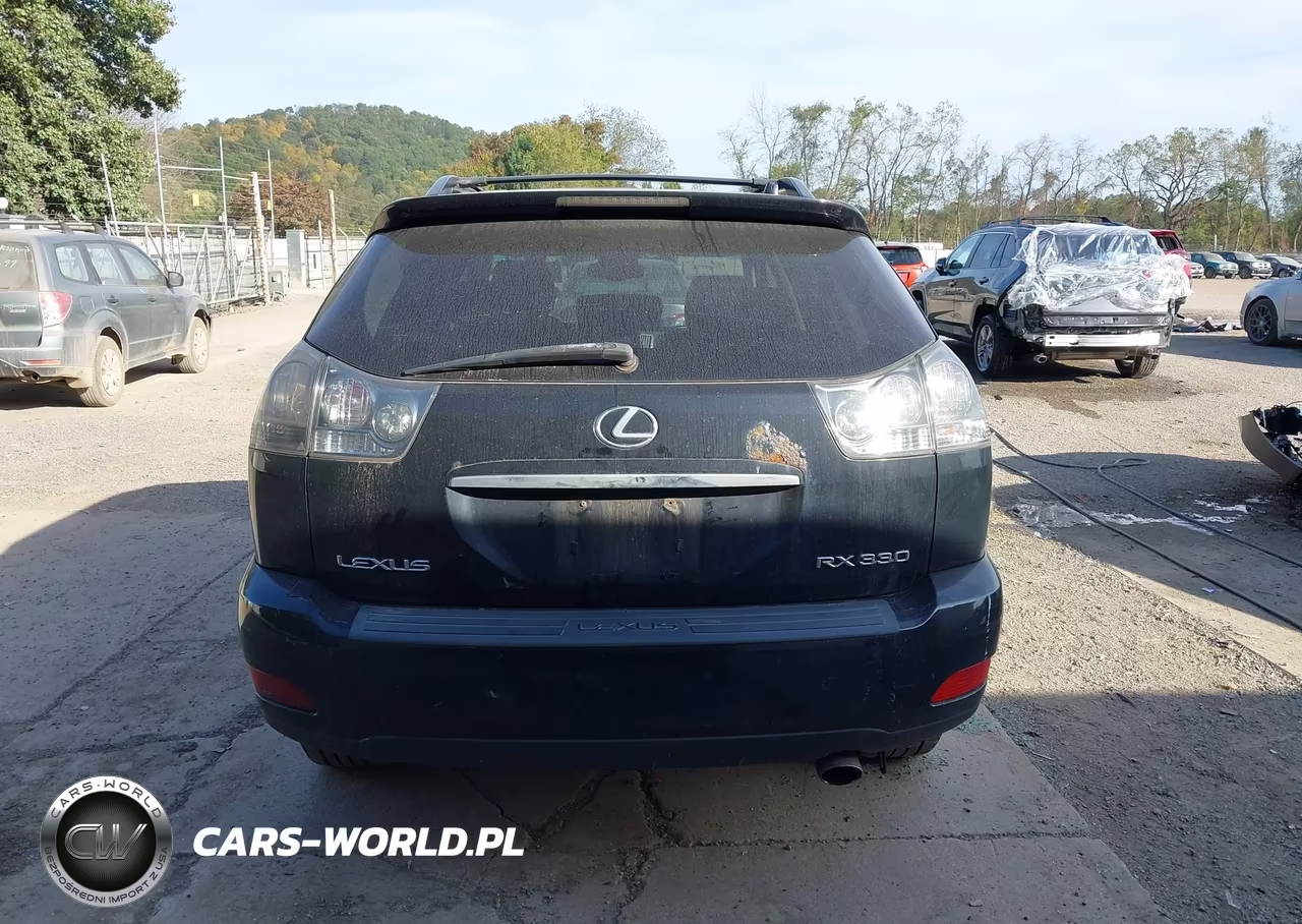 2004 Lexus Rx 330 VIN:JTJHA31U540064542 - 17