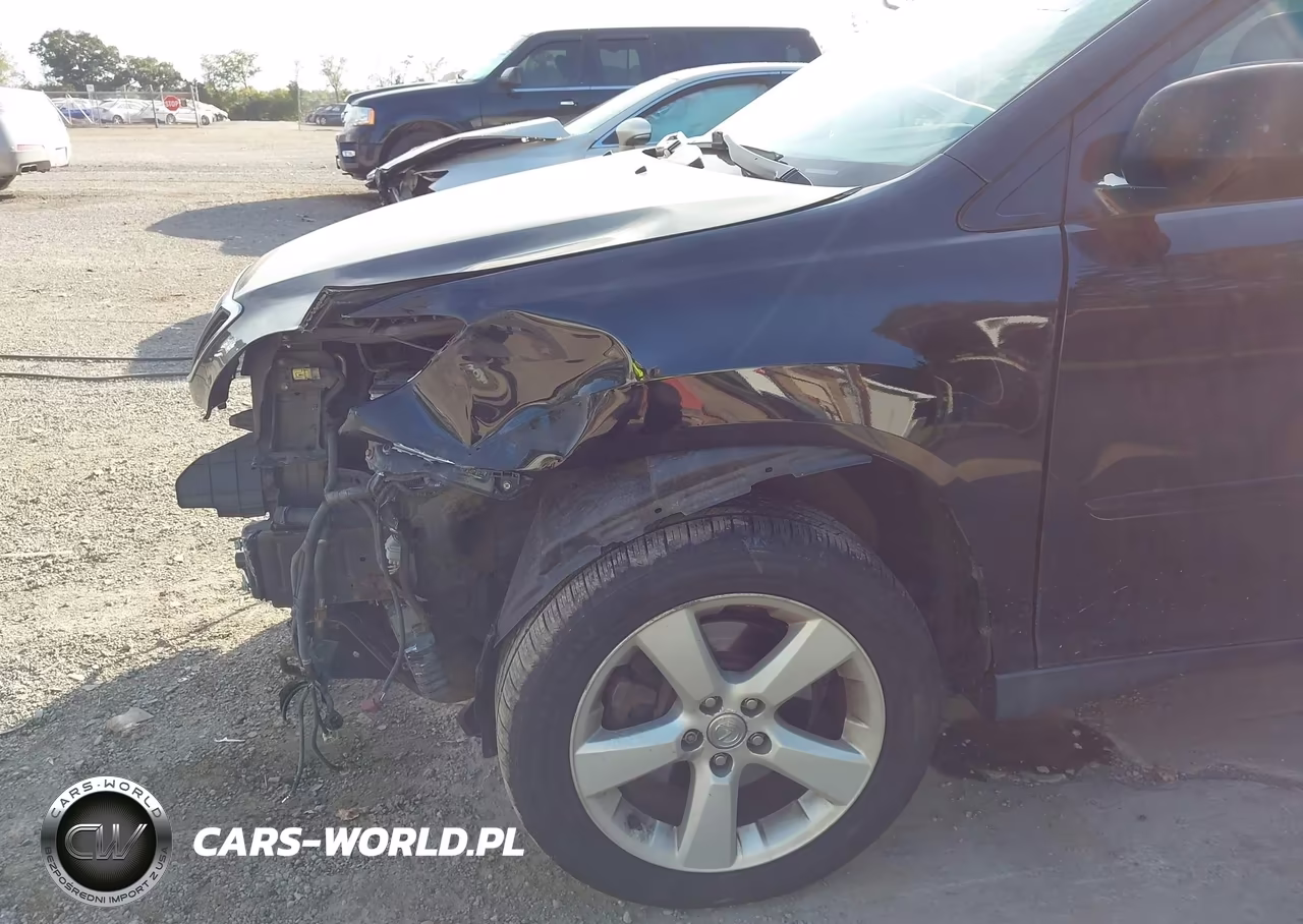 2004 Lexus Rx 330 VIN:JTJHA31U540064542 - 19