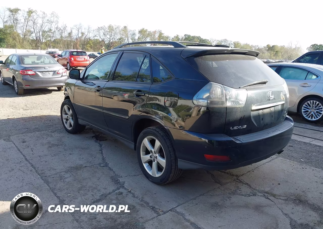 2004 Lexus Rx 330 VIN:JTJHA31U540064542 - 3