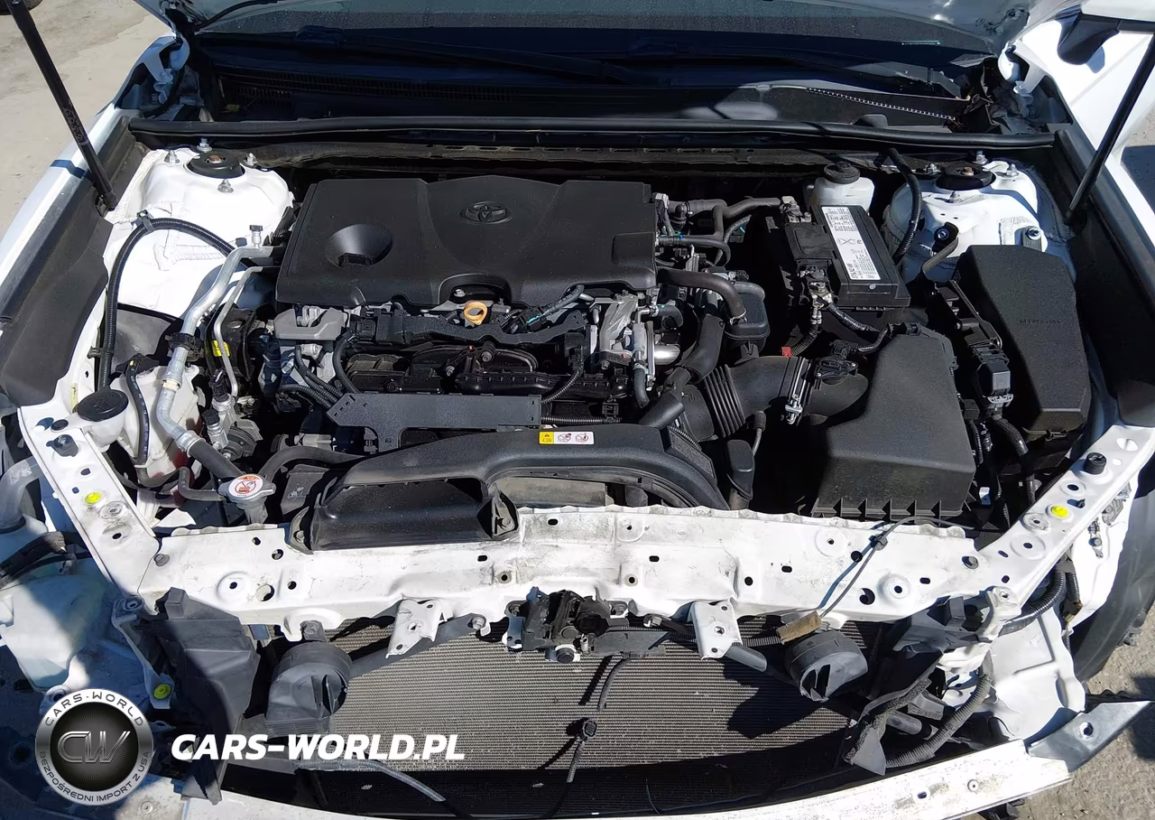 2019 Toyota Camry Le VIN:4T1B11HK3KU263866 - 10