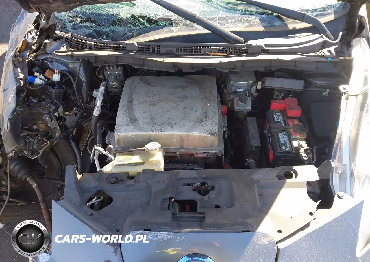 2016 Nissan Leaf S VIN:1N4BZ0CP4GC313302 - 10