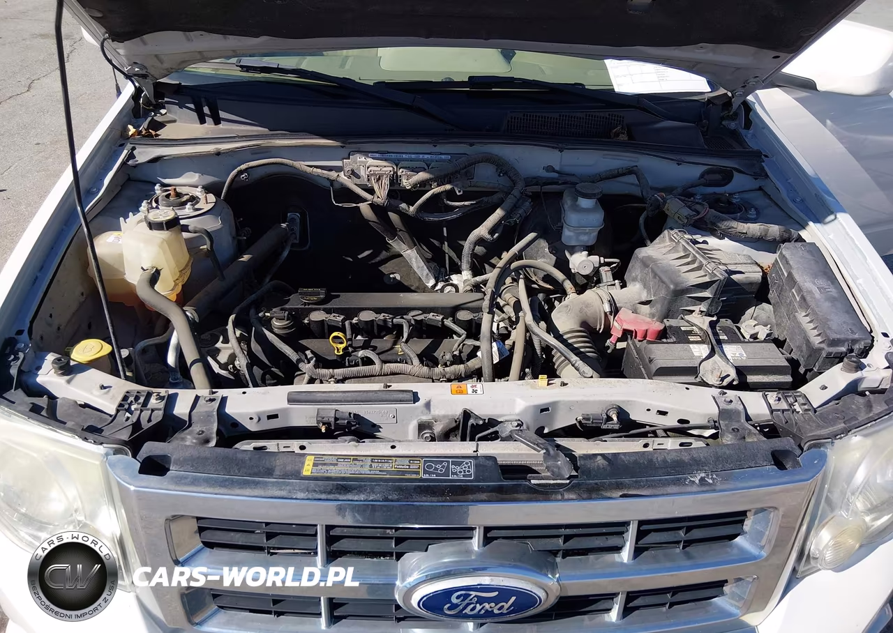 2010 Ford Escape Limited VIN:1FMCU0E74AKC45103 - 10
