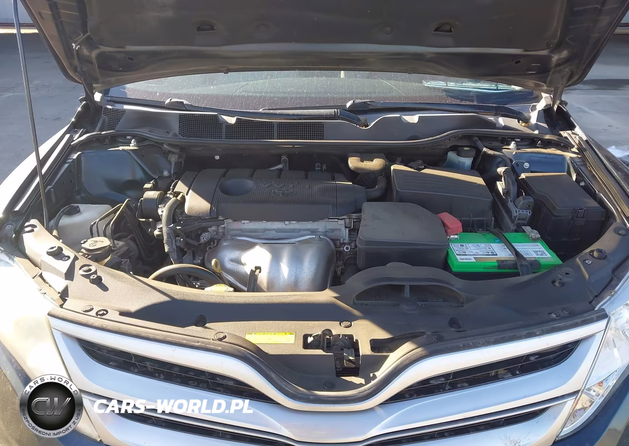 2014 Toyota Venza Le VIN:4T3ZA3BB3EU083656 - 10