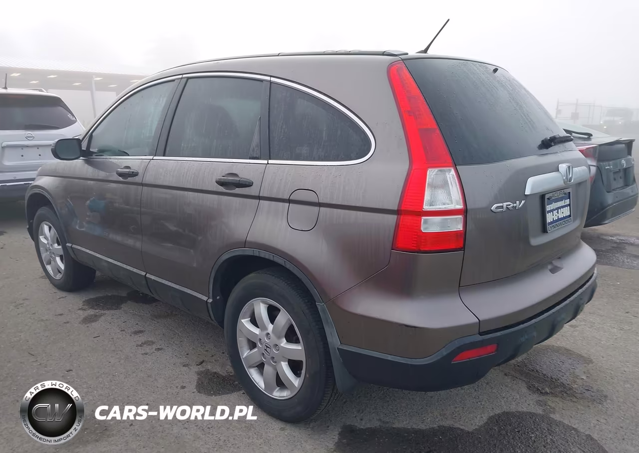 2009 Honda Cr-V Ex VIN:5J6RE38569L012671 - 3
