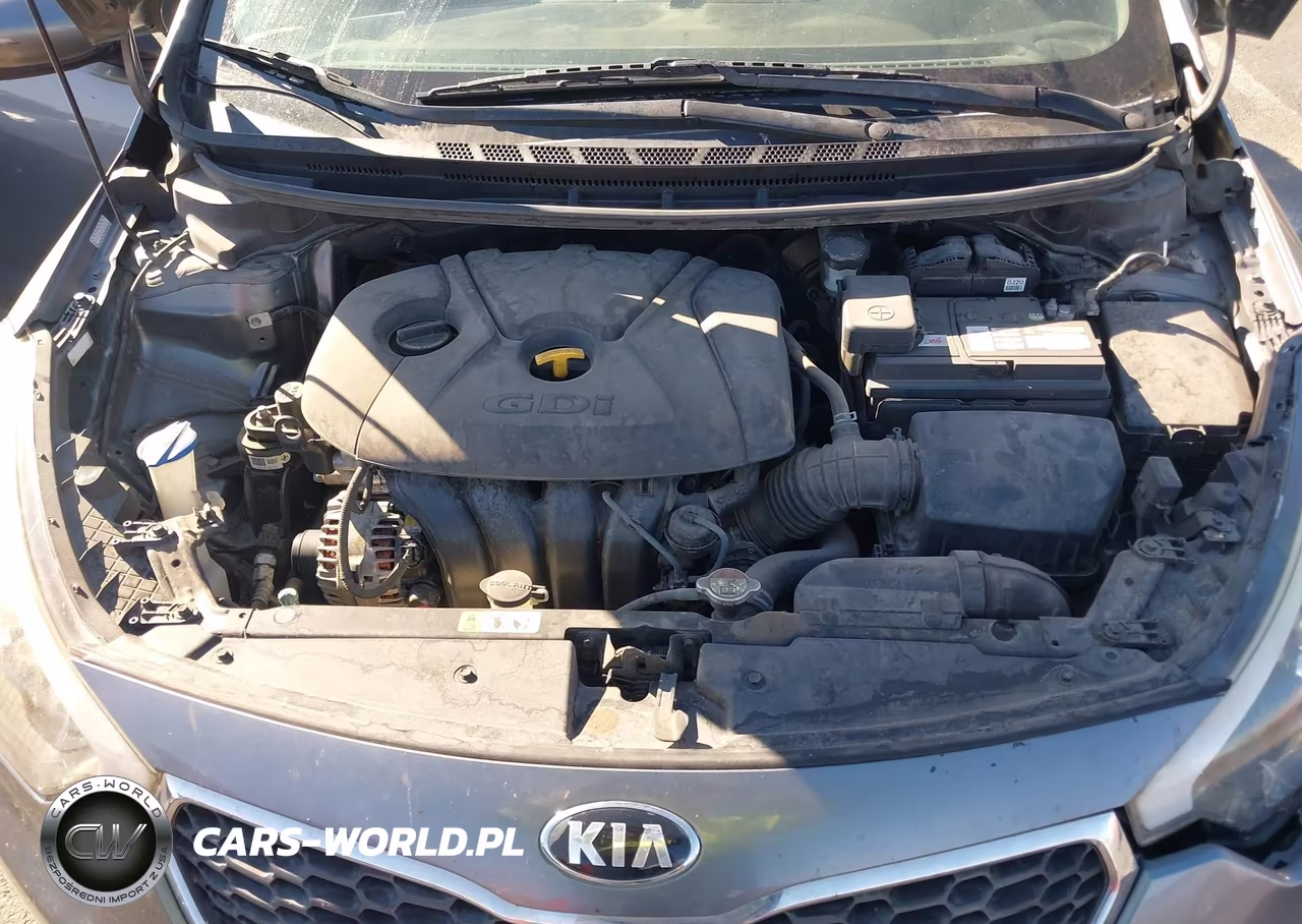 2016 Kia Forte Lx VIN:KNAFK5A87G5583411 - 10