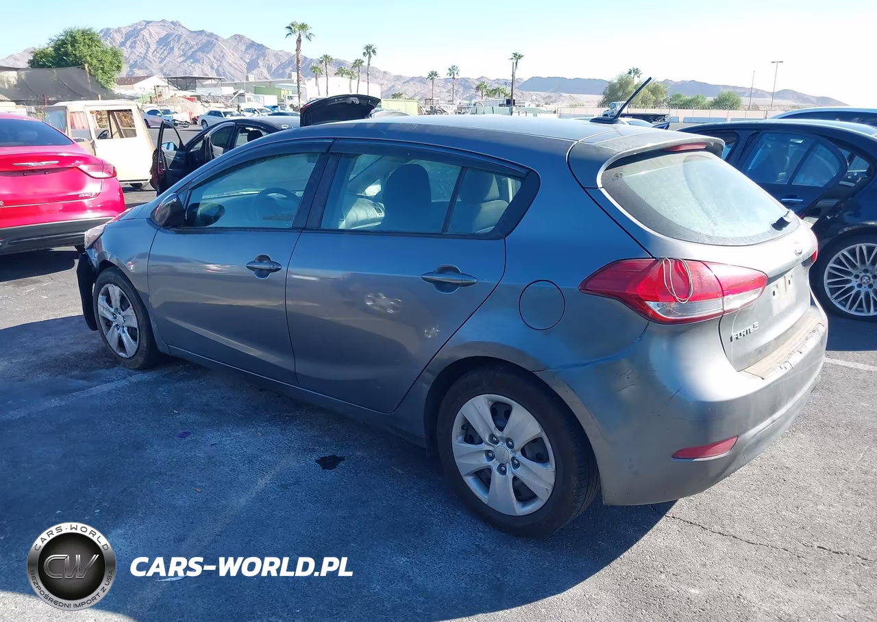 2016 Kia Forte Lx VIN:KNAFK5A87G5583411 - 3