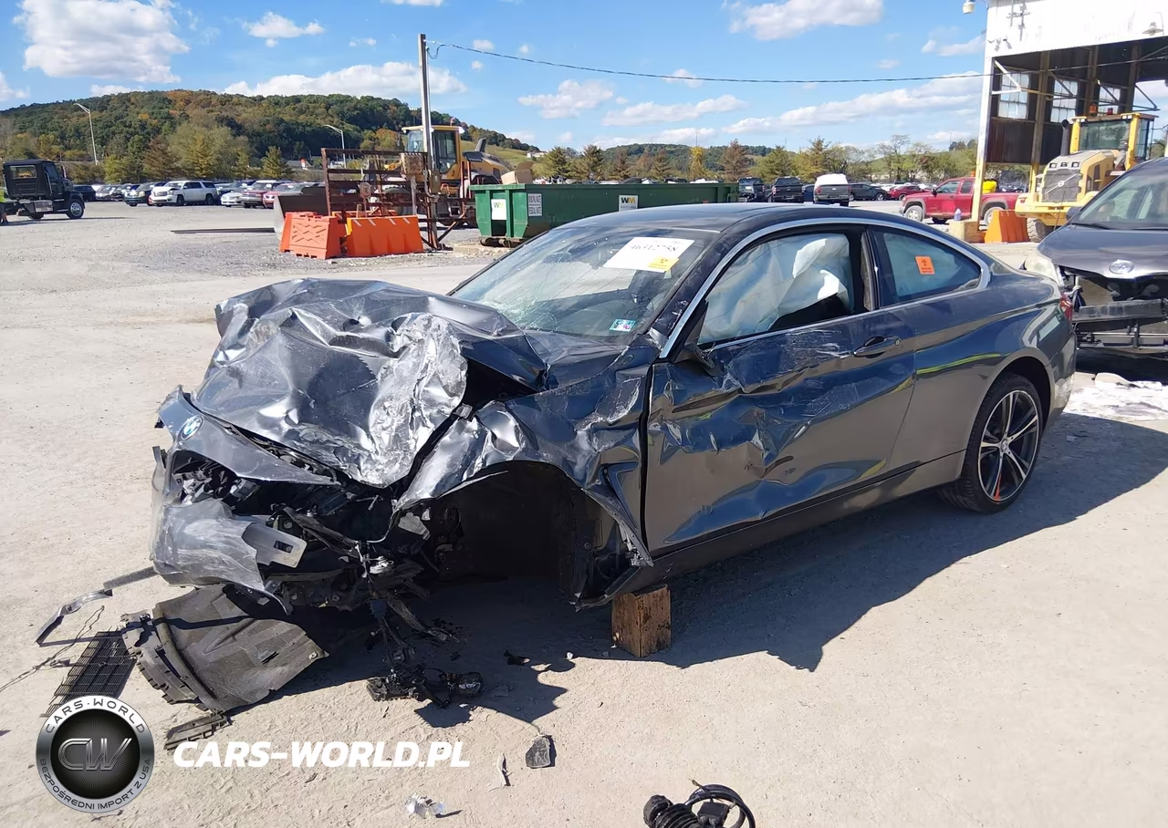 2019 BMW 430I xDrive VIN:WBA4W5C5XKAE50899 - 2