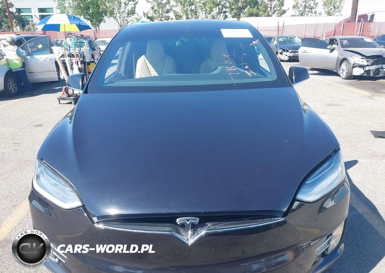 2016 Tesla Model X 60D-P100D-P90D VIN:5YJXCAE49GF001909 - 12
