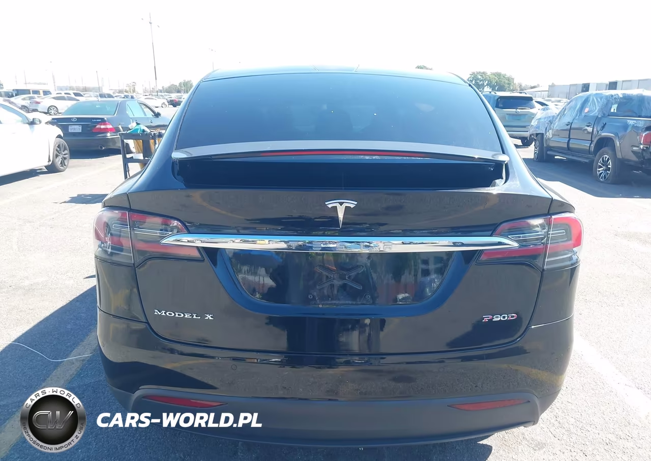 2016 Tesla Model X 60D-P100D-P90D VIN:5YJXCAE49GF001909 - 16