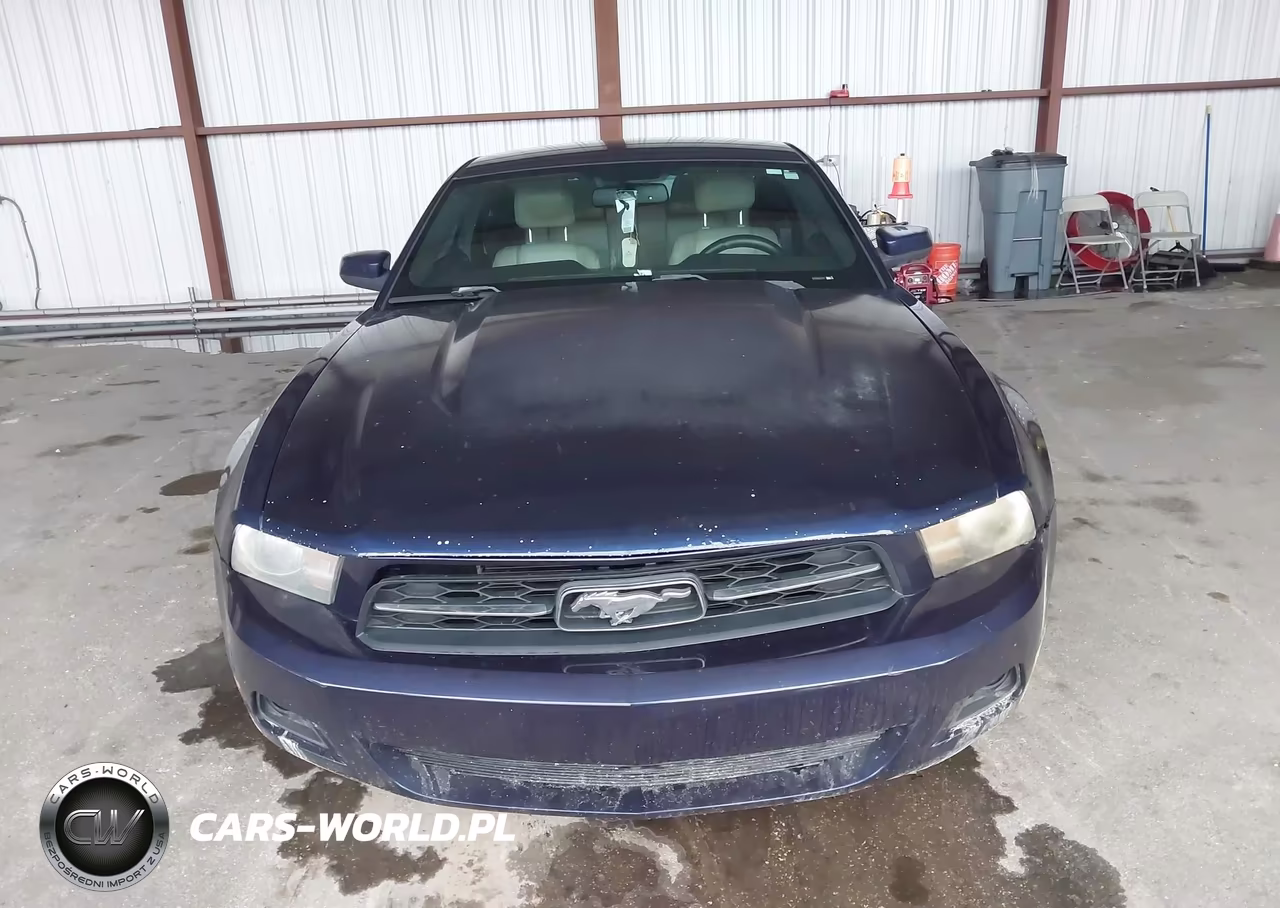2012 Ford Mustang V6 Premium VIN:1ZVBP8AM1C5252574 - 12