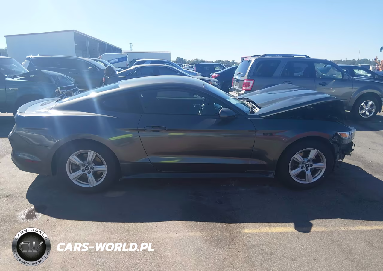 2015 Ford Mustang Ecoboost VIN:1FA6P8THXF5379919 - 12