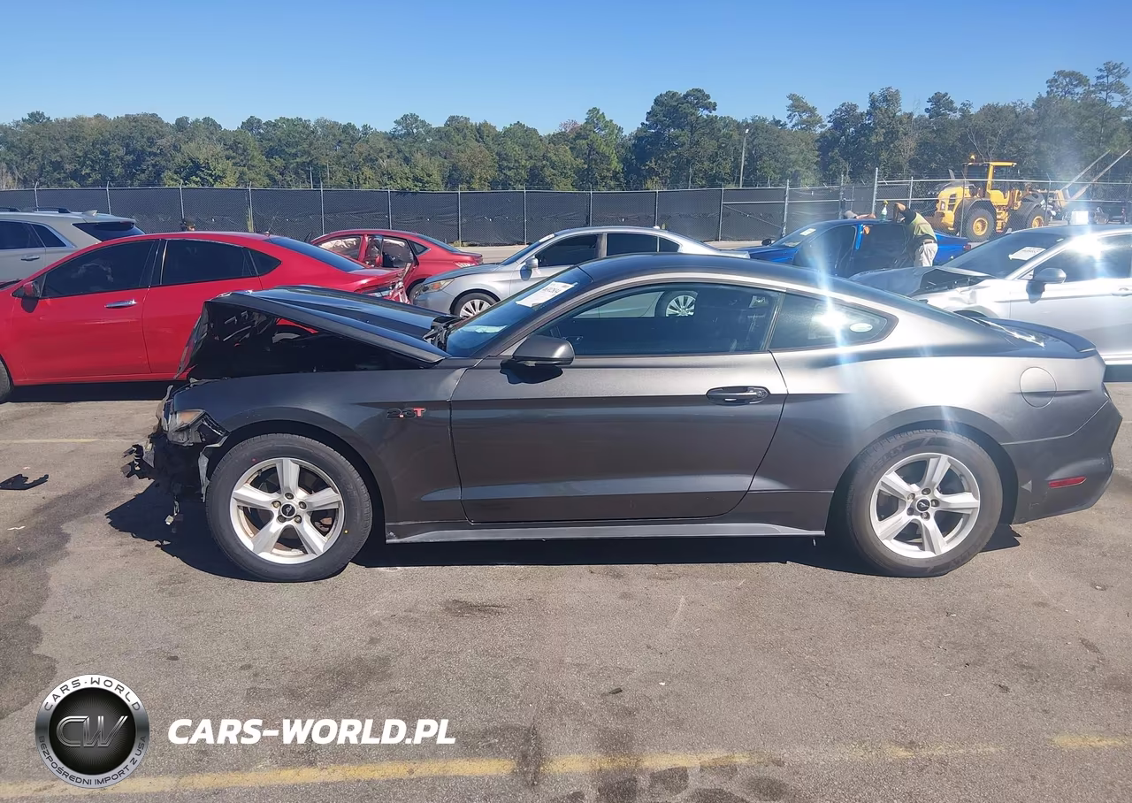 2015 Ford Mustang Ecoboost VIN:1FA6P8THXF5379919 - 13