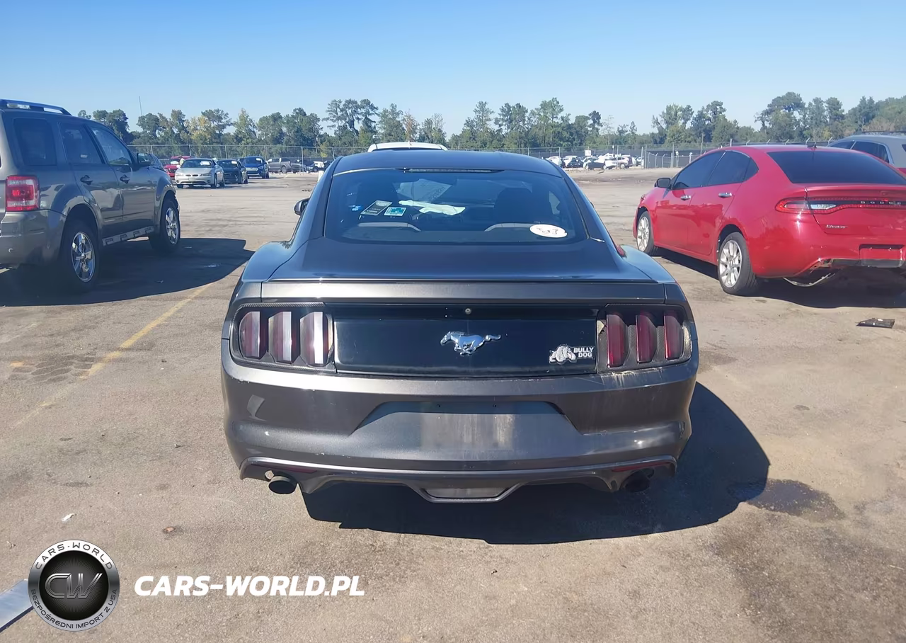 2015 Ford Mustang Ecoboost VIN:1FA6P8THXF5379919 - 15