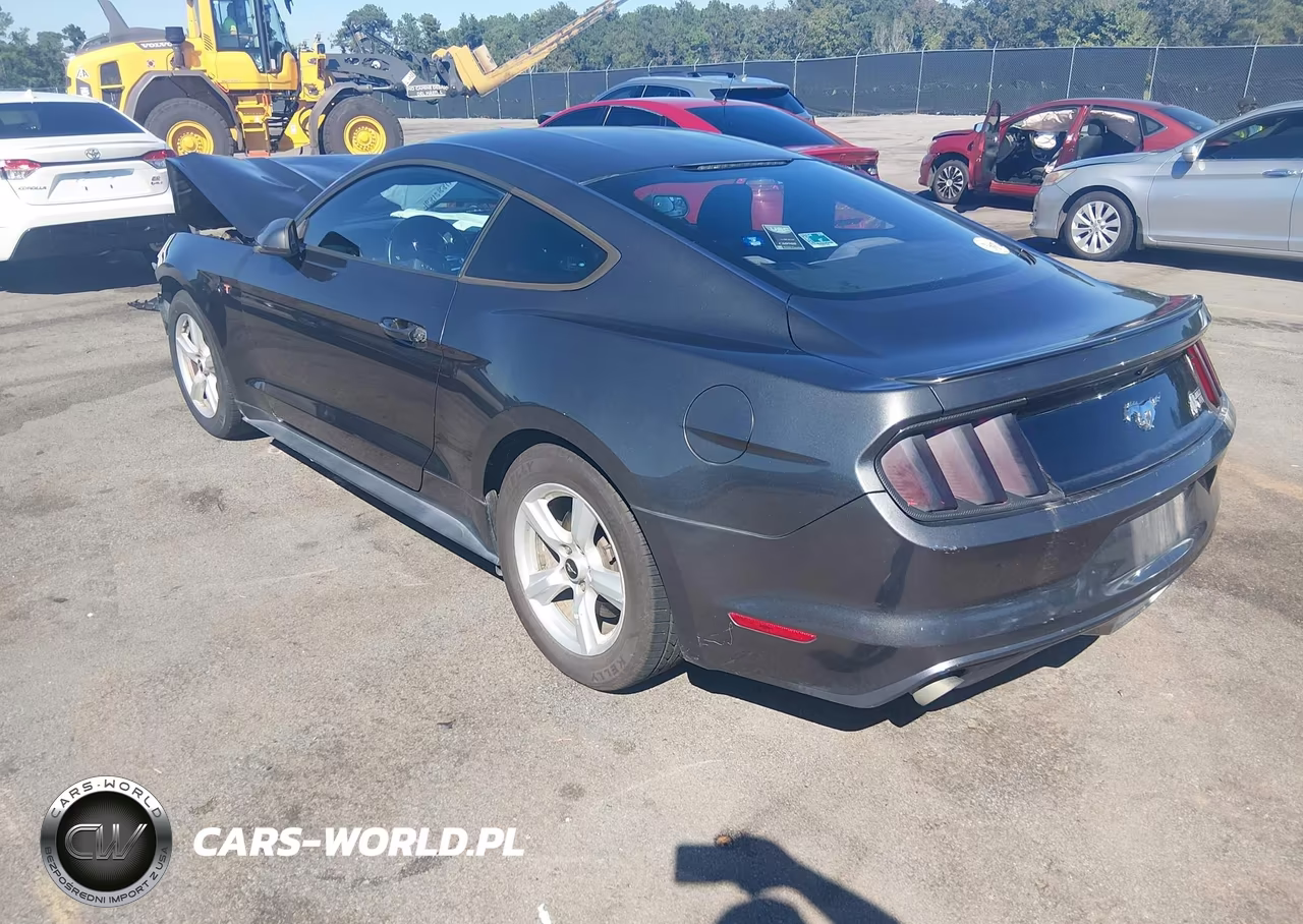 2015 Ford Mustang Ecoboost VIN:1FA6P8THXF5379919 - 3