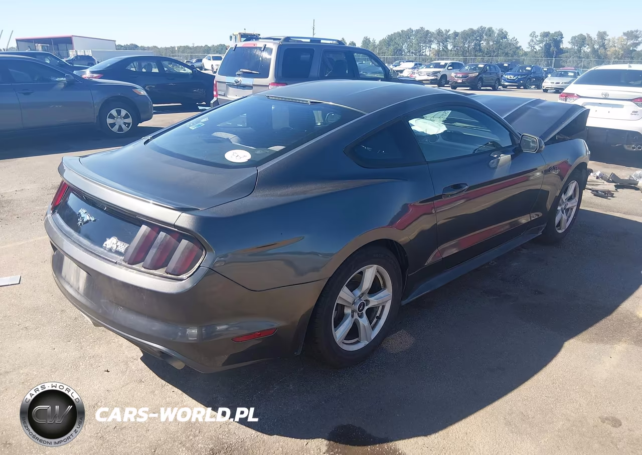 2015 Ford Mustang Ecoboost VIN:1FA6P8THXF5379919 - 4
