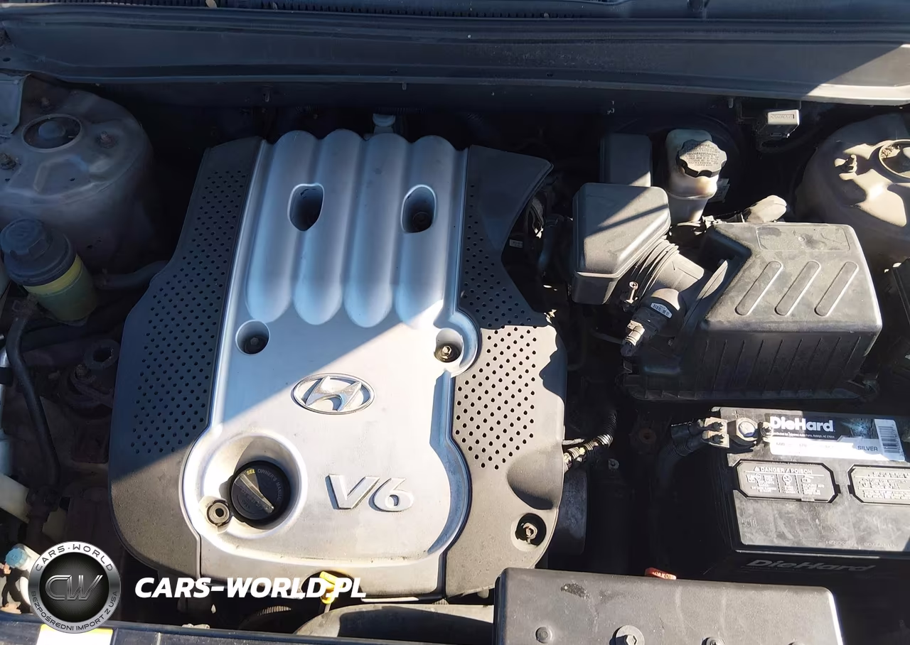 2007 Hyundai Santa Fe Gls VIN:5NMSG73D67H066798 - 10