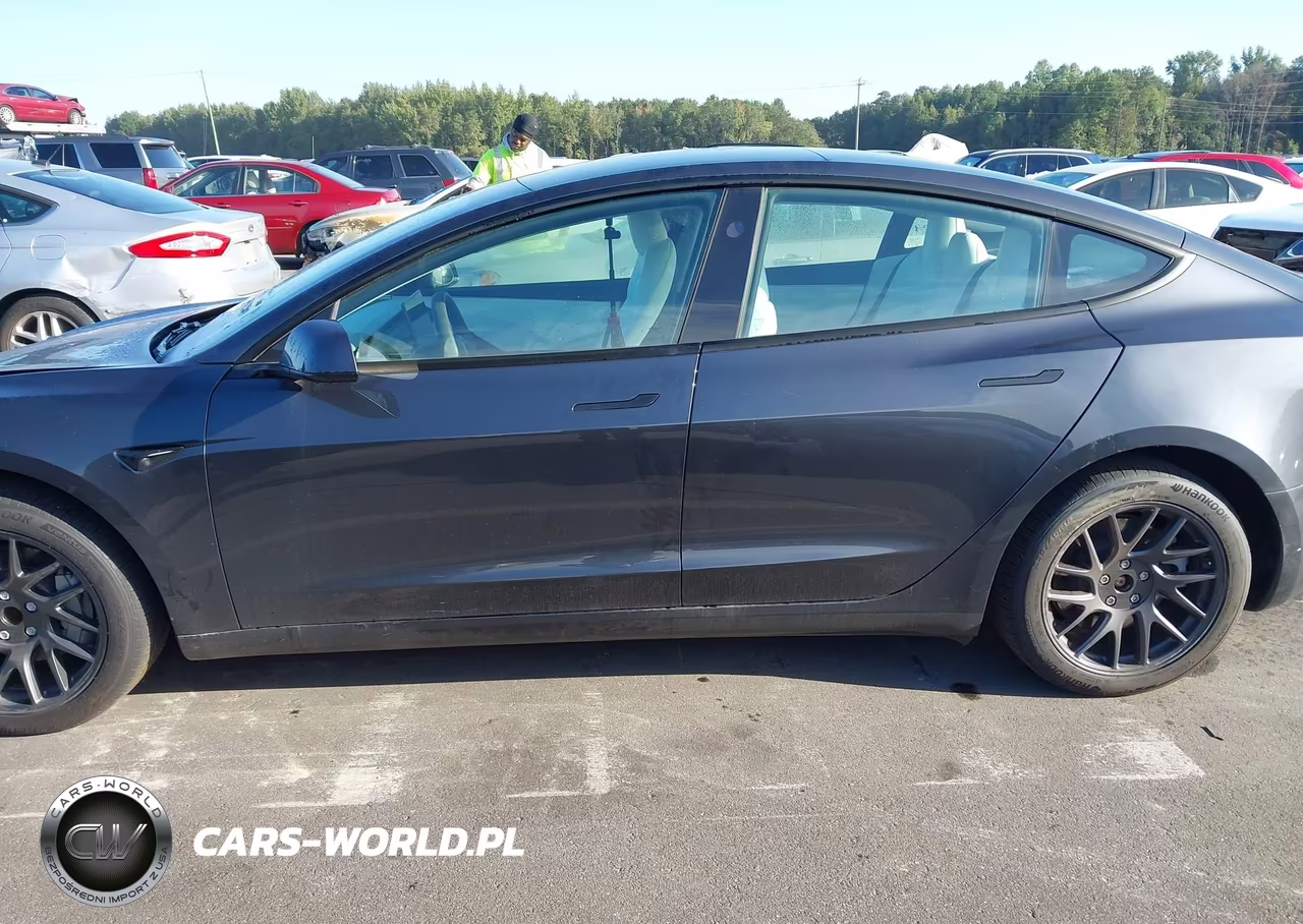 2025 Tesla Model 3 Long Range Rear-Wheel Drive-Standard Rear-Wheel Drive VIN:5YJ3E1EA2SF044592 - 15