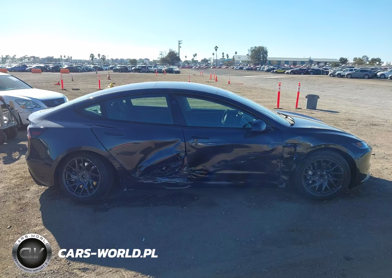 2025 Tesla Model 3 Long Range Rear-Wheel Drive-Standard Rear-Wheel Drive VIN:5YJ3E1EA1SF084114 - 12