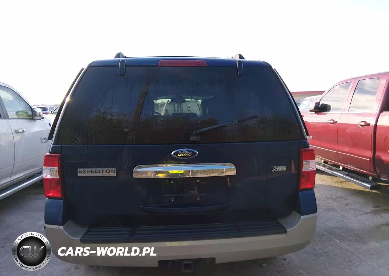 2010 Ford Expedition Eddie Bauer VIN:1FMJU1H56AEA64171 - 16