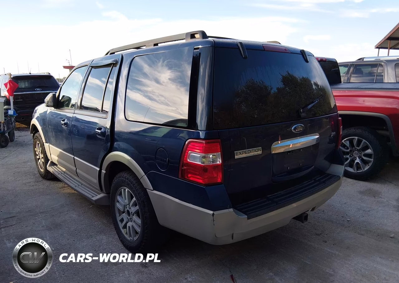 2010 Ford Expedition Eddie Bauer VIN:1FMJU1H56AEA64171 - 3
