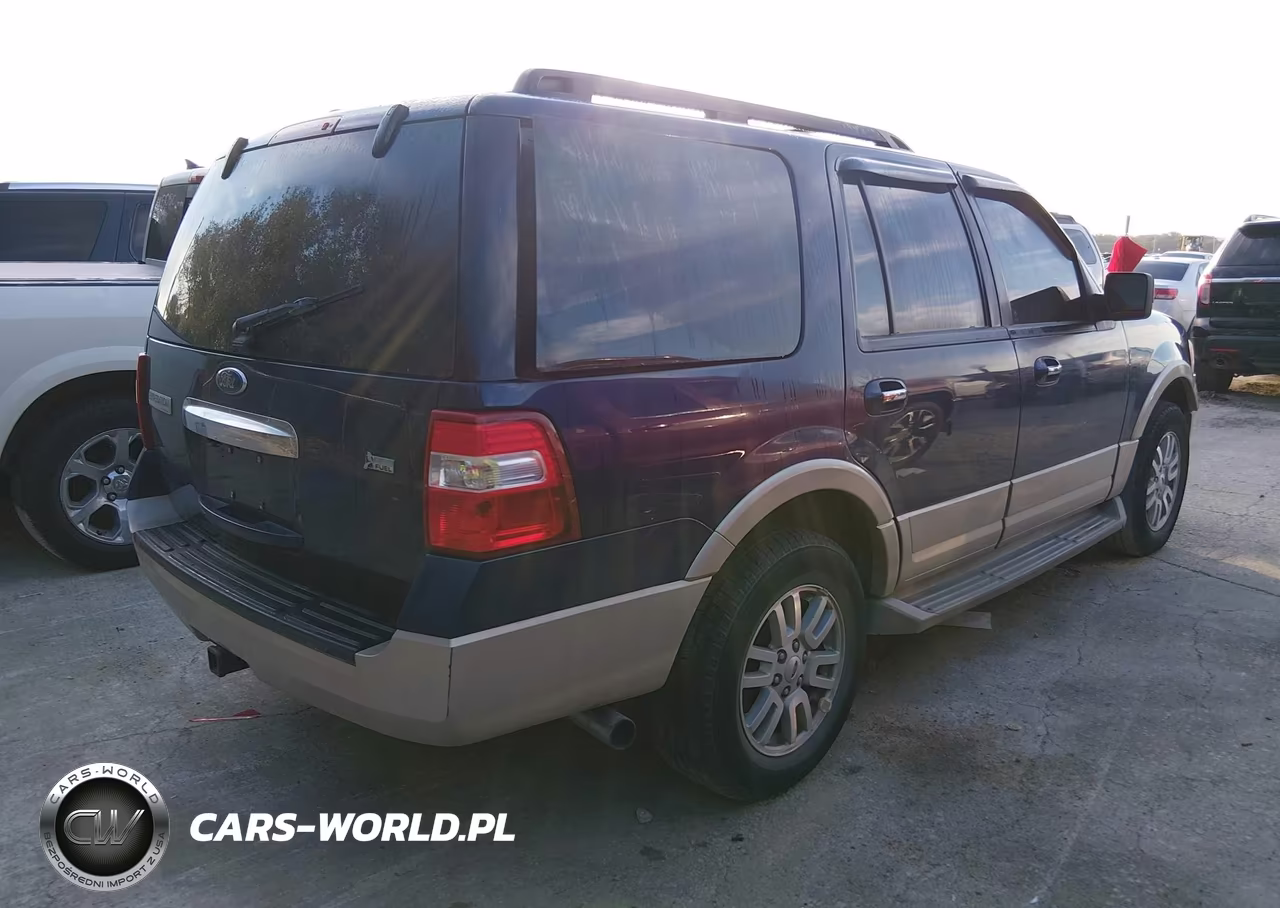 2010 Ford Expedition Eddie Bauer VIN:1FMJU1H56AEA64171 - 4
