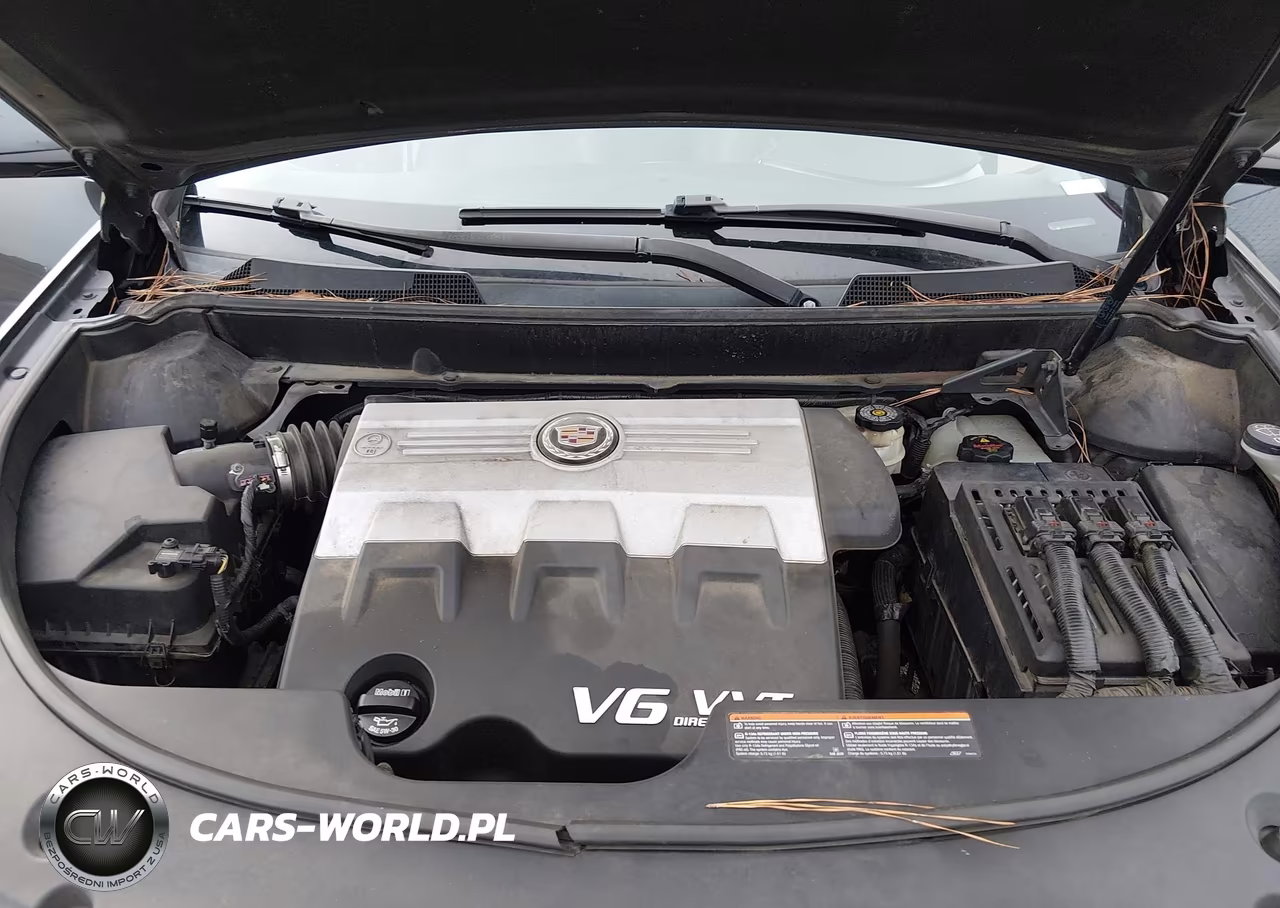 2010 Cadillac Srx Luxury Collection VIN:3GYFNDEY6AS560031 - 10
