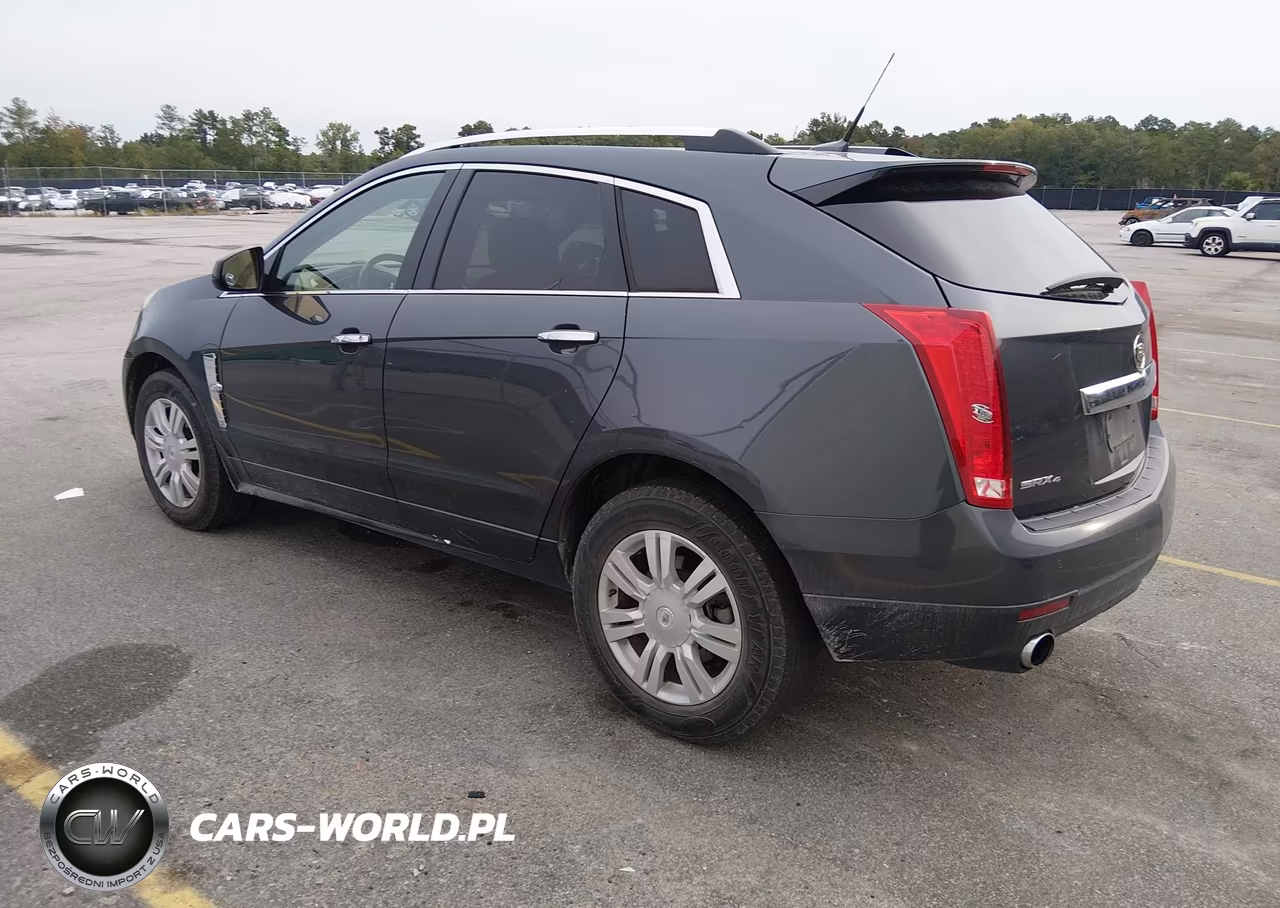 2010 Cadillac Srx Luxury Collection VIN:3GYFNDEY6AS560031 - 3