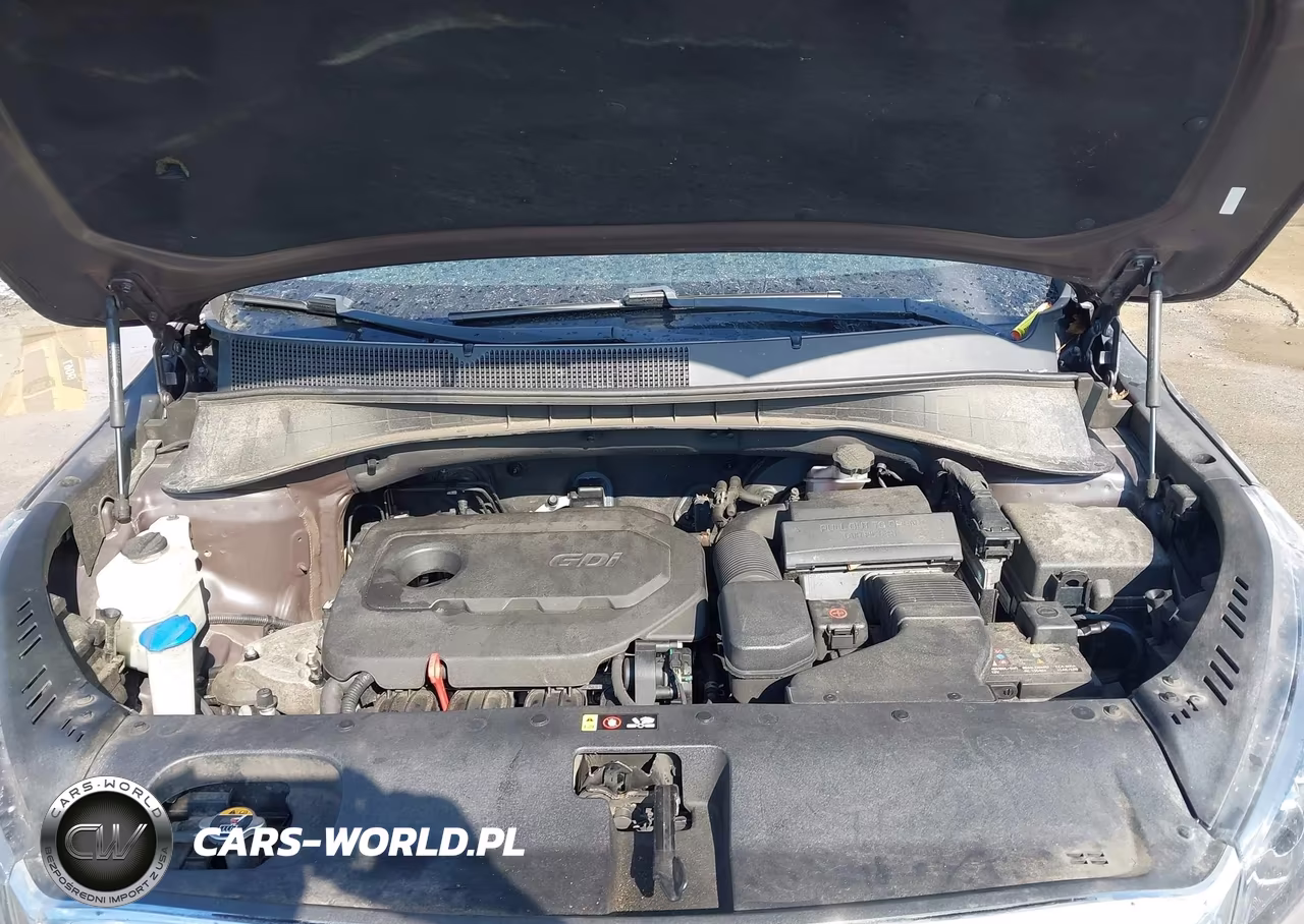 2019 Kia Sorento 2.4L Lx VIN:5XYPG4A34KG439497 - 10