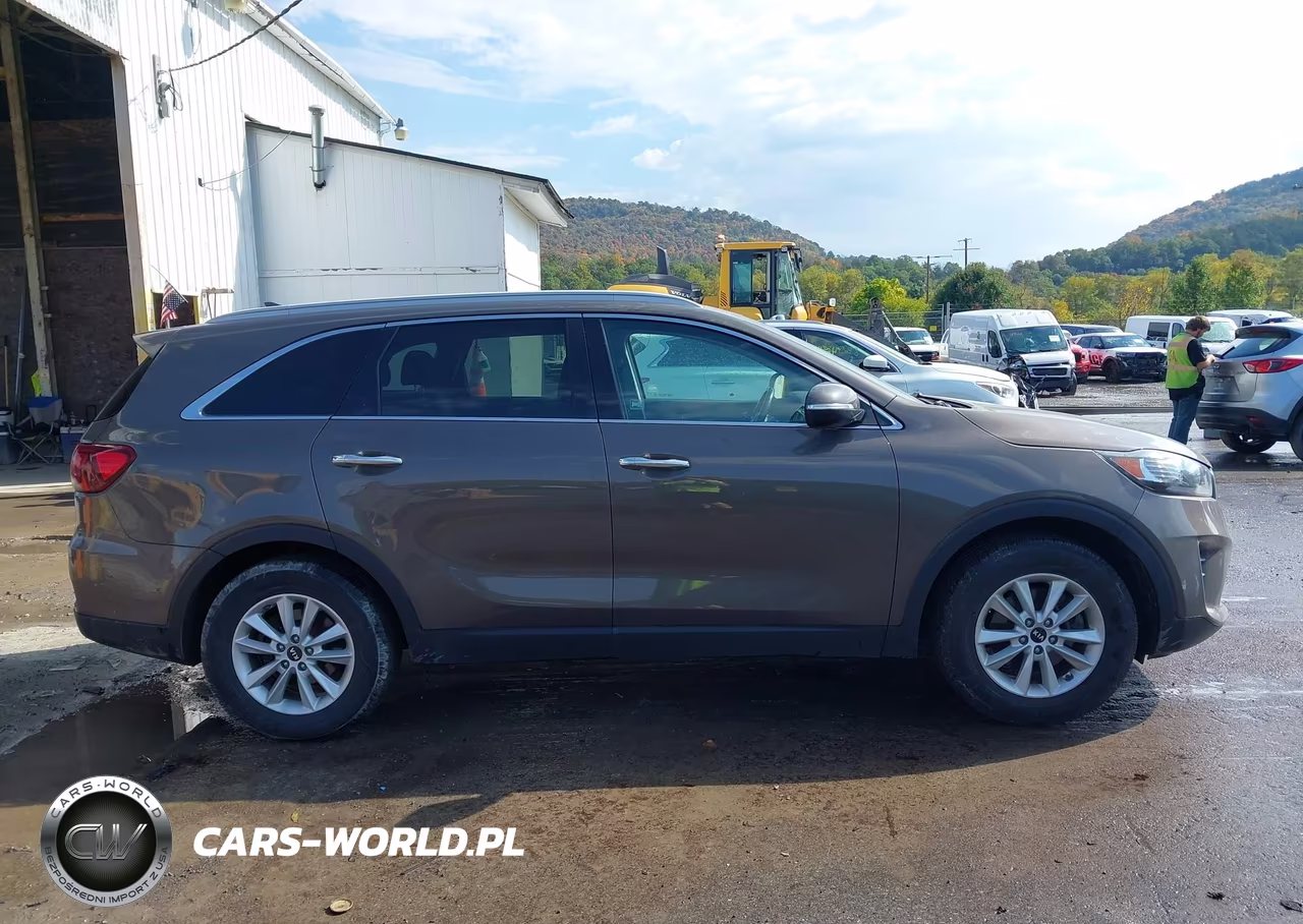 2019 Kia Sorento 2.4L Lx VIN:5XYPG4A34KG439497 - 13