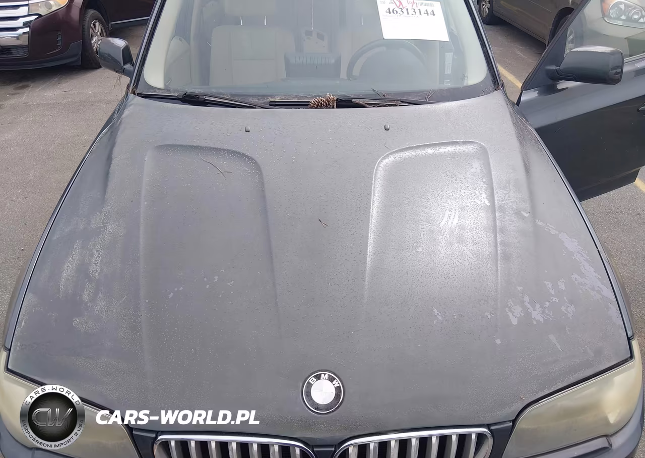2008 BMW X3 3.0Si VIN:WBXPC93498WJ22764 - 6