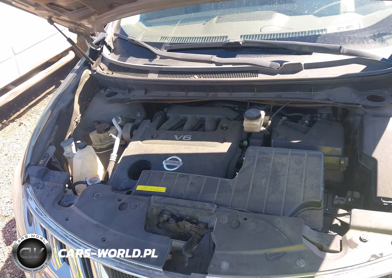 2010 Nissan Murano Sl VIN:JN8AZ1MW3AW137662 - 10