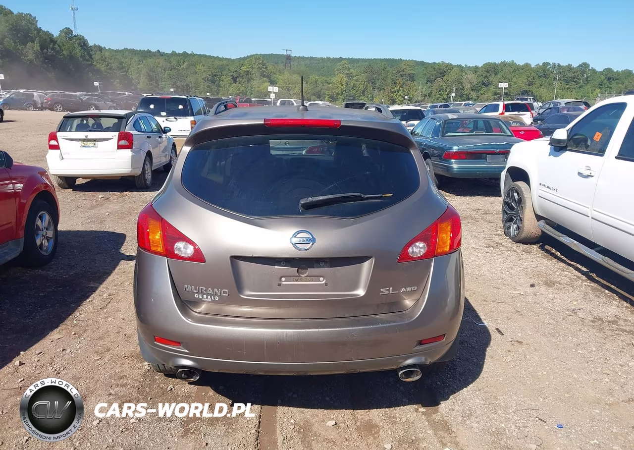 2010 Nissan Murano Sl VIN:JN8AZ1MW3AW137662 - 16