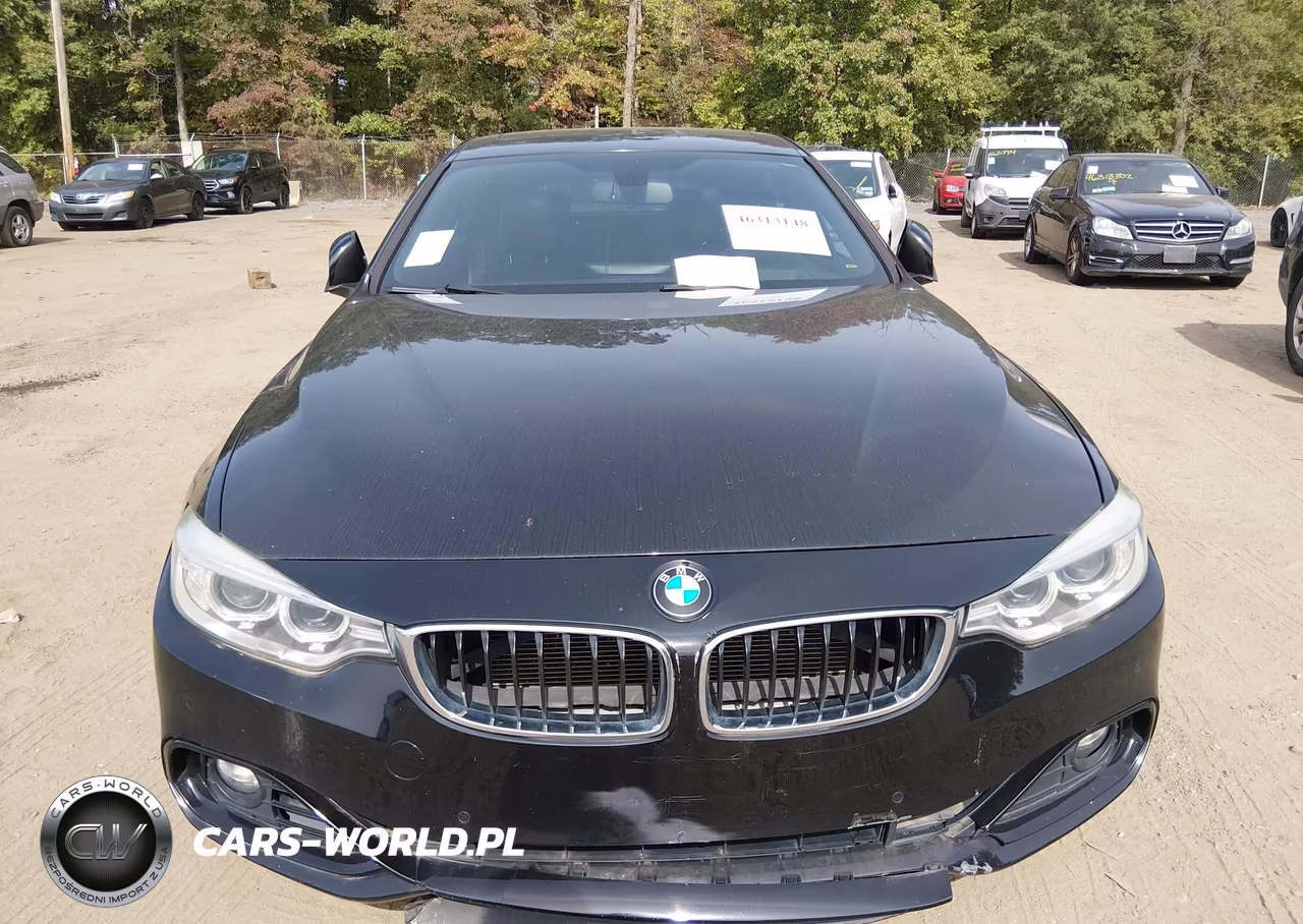 2015 BMW 428 Gran Coupe VIN:WBA4A5C50FG052017 - 10