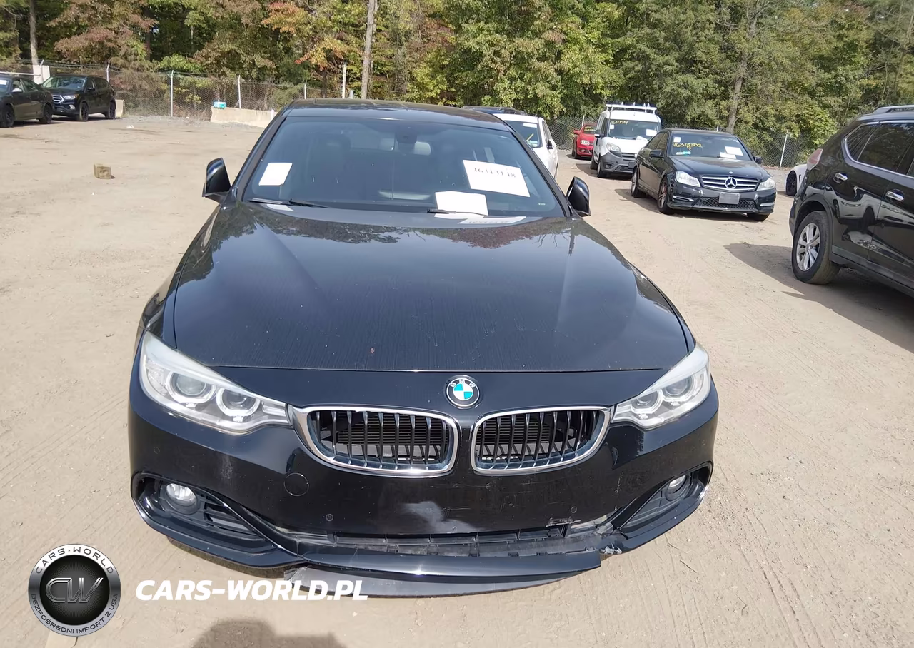 2015 BMW 428 Gran Coupe VIN:WBA4A5C50FG052017 - 11