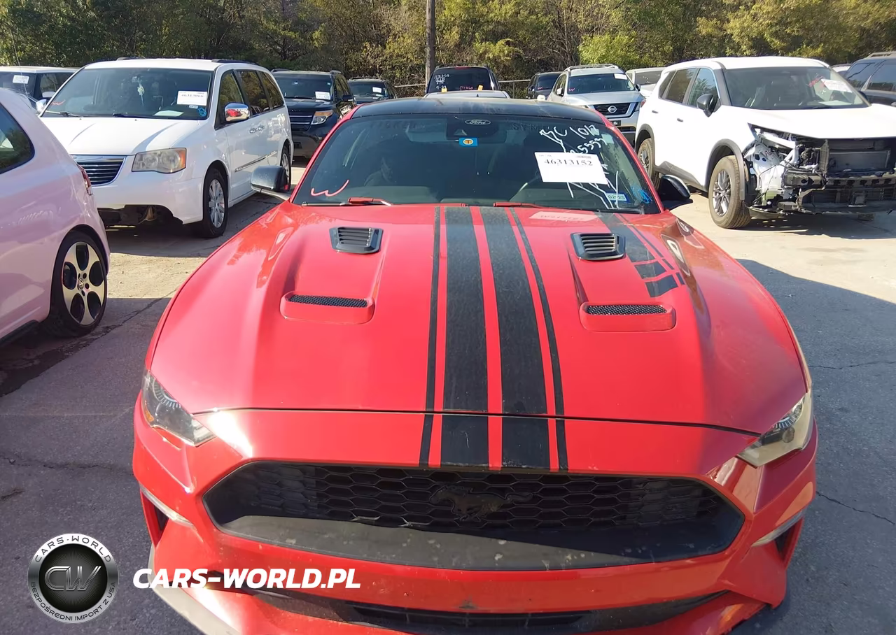 2021 Ford Mustang Ecoboost Fastback VIN:1FA6P8TH0M5125553 - 12