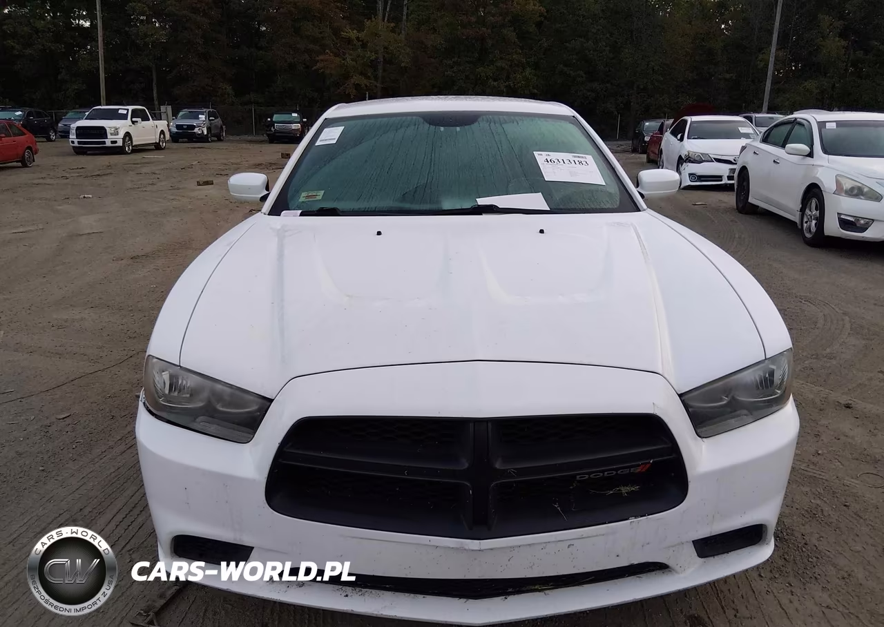 2014 Dodge Charger Police VIN:2C3CDXAT1EH357844 - 10